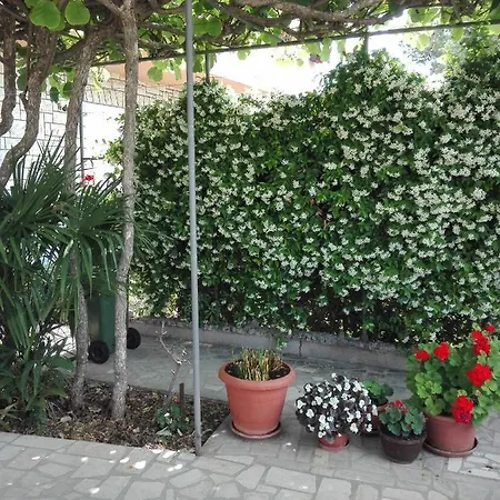 Apartment Jere Pula