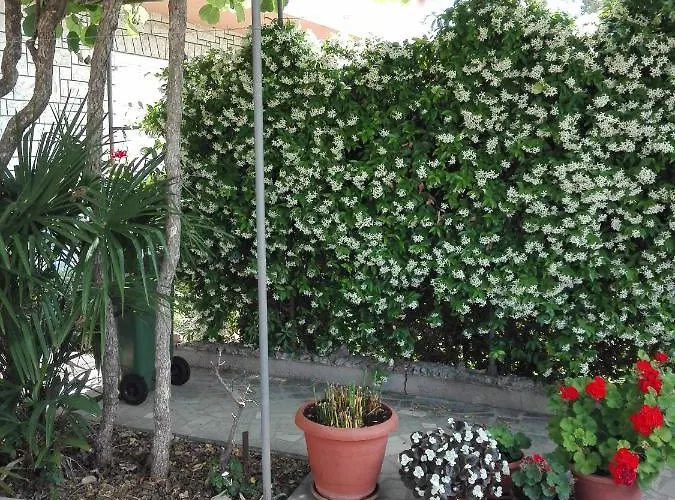 Appartement Jere Pula